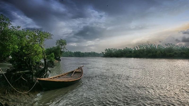 blog-image